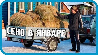Превью: ДОКАТИЛИСЬ! ЗАГОТОВКА СЕНА В ЯНВАРЕ! ОБЗОР КРОЛИКОВ!