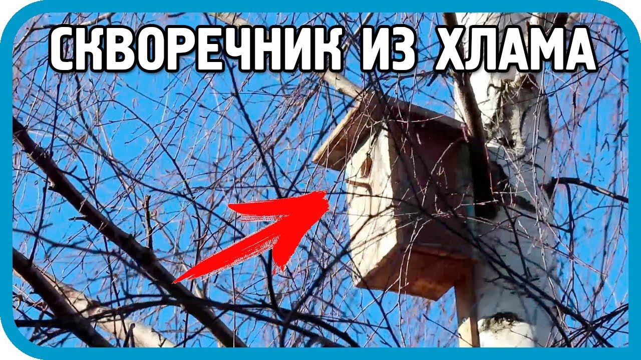 Скворечник из хлама за 5 минут! Будет ли результат?