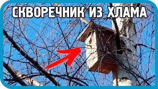 Превью: Скворечник из хлама за 5 минут! Будет ли результат?