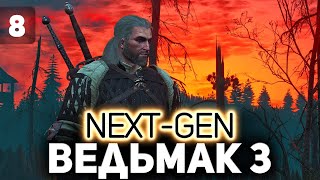 Превью: Турнир по гвинту Высокие ставки ⚔️ The Witcher 3: Wild Hunt — Next-Gen Update [PC 2022] Часть 8