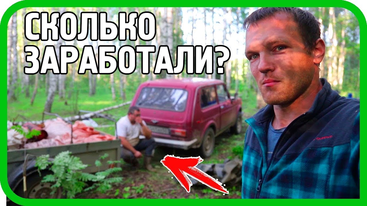 УЖЕ МЕСЯЦ ВЫВОЗИМ ДЕНЬГИ ИЗ ЛЕСА! НАС ПРОГОНЯЮТ, НО МЫ КОПАЕМ...