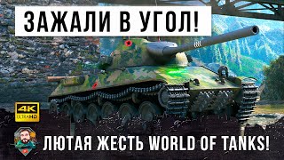 Превью: За 9 лет игры такого выживания я еще не видео! Раки загнали толпой в угол статиста World of Tanks!