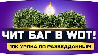 Превью: ЭТО БАГ ИЛИ ФИЧА? ● Статист насветил 10.000 урона без единого засвета