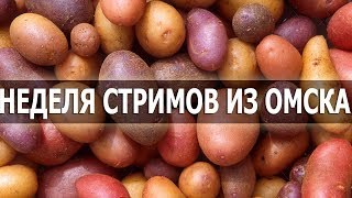 Превью: mozol6ka | Неделя стримов из Омска / День 1