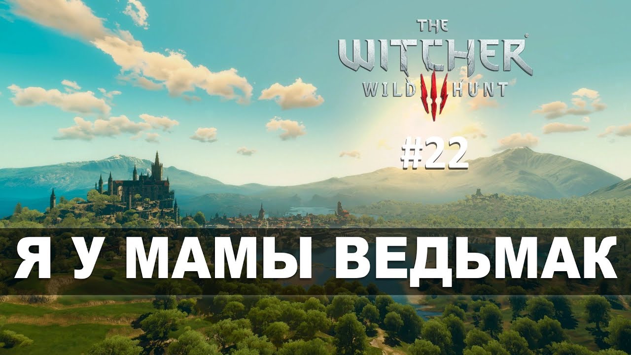 The Witcher 3: Wild Hunt (Прохождение на стриме) | Я у мамы рокожоп! #22