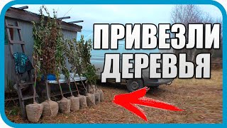 Превью: САЖАЕМ САД НА НОВОМ УЧАСТКЕ