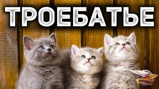 Превью: ТРОЕБАТЬЕ - Сказочный субботний взвод