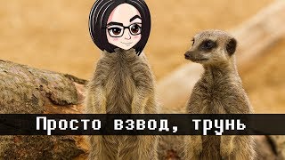 Превью: Ваня, давай по моей тактике? | Взвод с SipSep