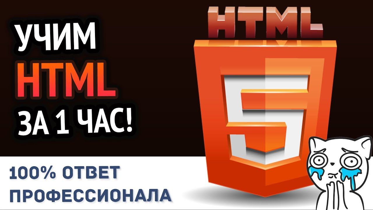 Учим HTML за 1 час! #От Профессионала | HD Remake