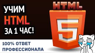 Превью: Учим HTML за 1 час! #От Профессионала | HD Remake