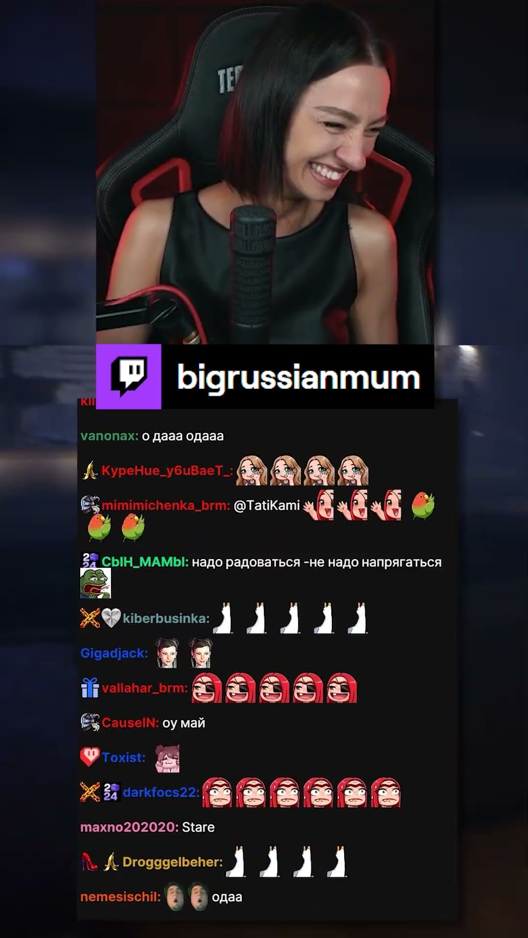 Превью: ЛУЧШАЯ ОЗВУЧКА | BRM В Run Away From Me Alexandra #twitch #brm #RunAwayFromMeAlexandra