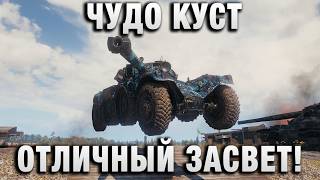 Превью: ЧУДО КУСТ И ОТЛИЧНЫЙ ЗАСВЕТ!