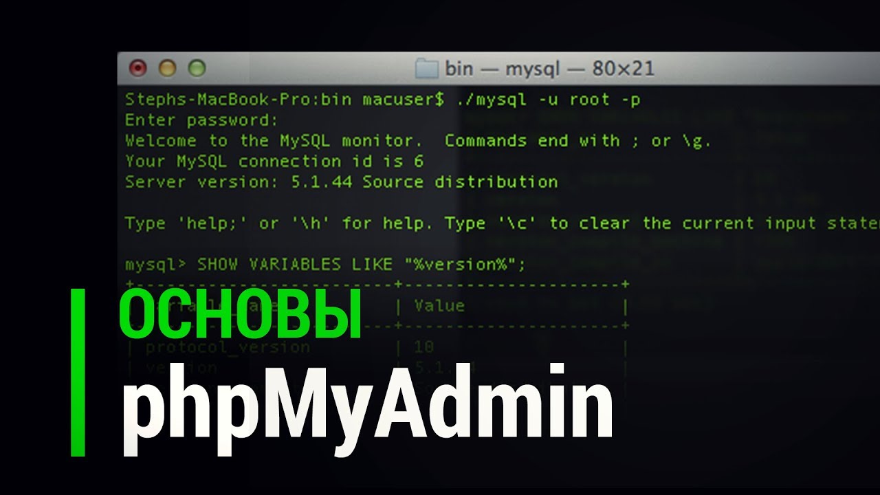 Основы phpMyAdmin для новичков веб программистов