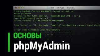 Превью: Основы phpMyAdmin для новичков веб программистов