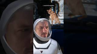 Превью: «Космонавт», девочка-робот и отсылки к классике #pragmata