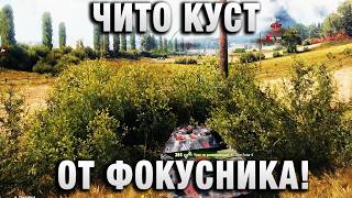 Превью: ЧИТО КУСТ ОТ ФОКУСНИКА!