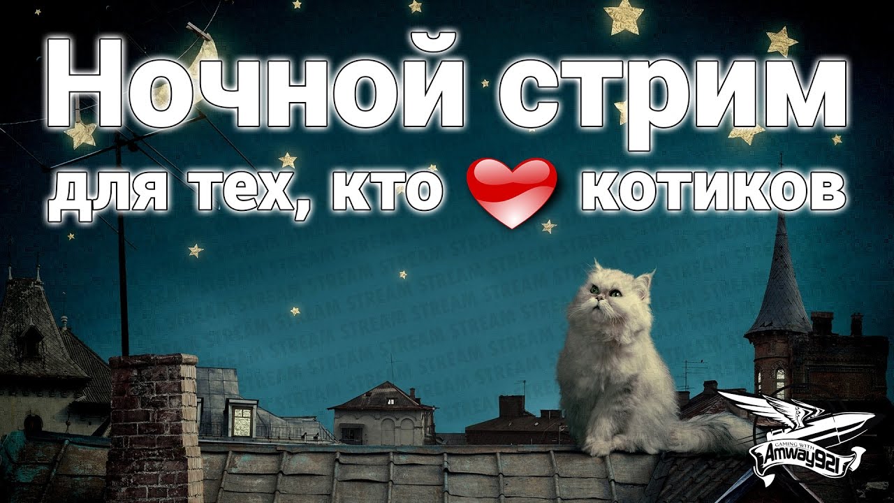 Ночной стрим - Для тех, кто любит котиков