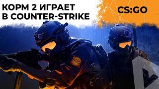 Превью: КОРМ2 В COUNTER-STRIKE. BO5