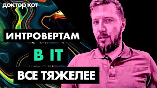 Превью: Почему же интровертам трудно в IT — проблемы с общением и работой в команде — Доктор Кот