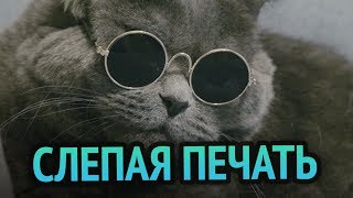 Превью: Реально СЛЕПАЯ ПЕЧАТЬ | ЗАКРЫЛ ГЛАЗА