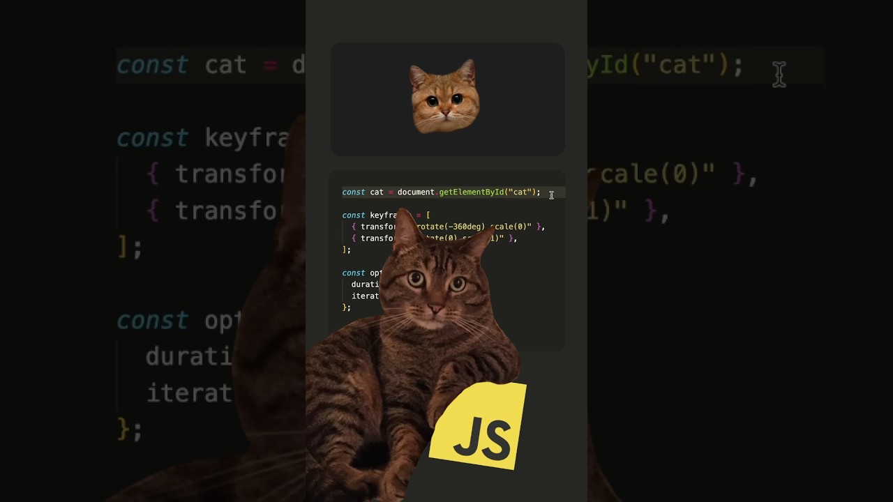 😻 Анимация в JavaScript #frontend #js #coding #hobby