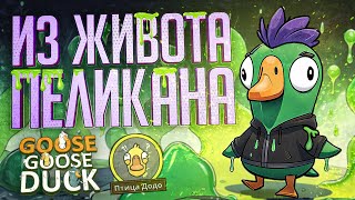 Превью: Я СБЕЖАЛ ИЗ ЖИВОТА ПЕЛИКАНА, И ЭТО ИЗМЕНИЛО ИГРУ — Goose Goose Duck // ВЕСЁЛАЯ НАРЕЗКА