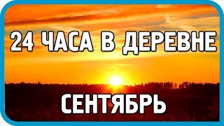 Превью: 24 ЧАСА В ДЕРЕВНЕ. СЕНТЯБРЬ. СОБРАТЬ ВСЁ, ЧТО МОЖНО!