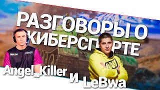 Превью: Разговоры о киберспорте - Angel_Killer и LeBwa!