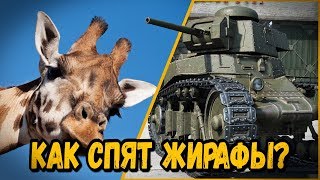 Превью: КАК ЗА@БАТЬ ВСЕХ ОДНИ ВОПРОСОМ - ГАЙД ОТ БИЛЛИ | World of Tanks