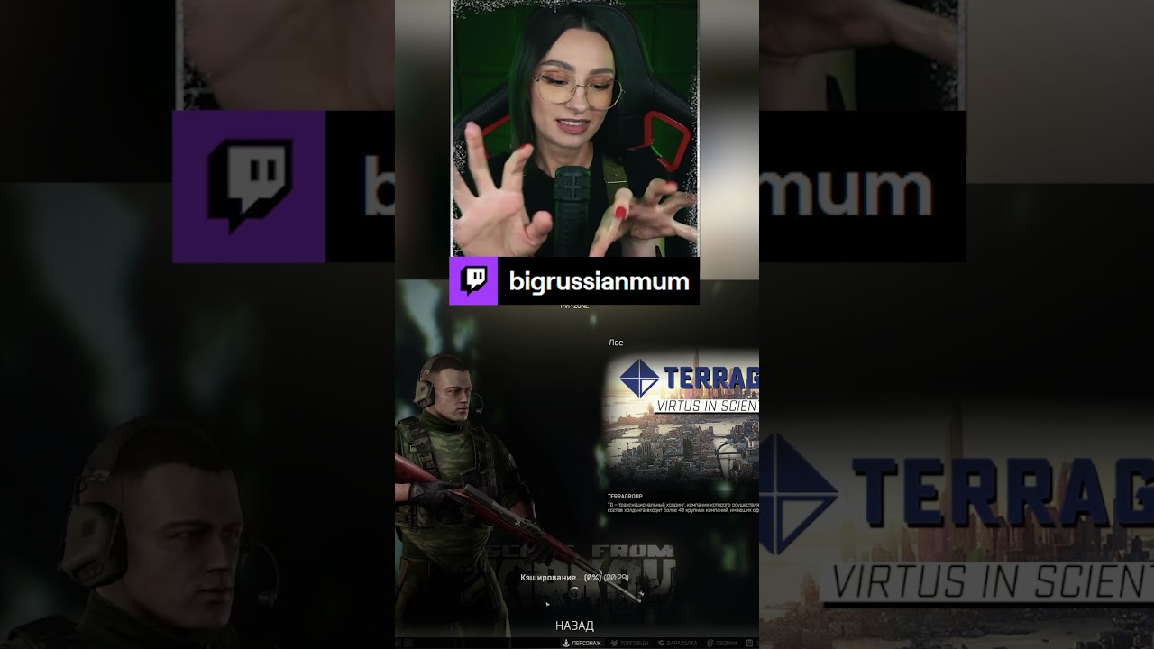 ПЧЕЛКИ В ЧАТЕ! | BRM В ESCAPE FROM TARKOV #twitch #brm #стримерша #юмор #мем