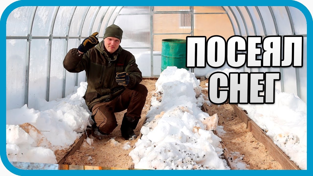 НЕ ВЫДЕРЖАЛ ЭТОГО! ТЕПЕРЬ В ТЕПЛИЦЕ СНЕГ, А В ДОМЕ КУЧА ПРОВОДОВ...
