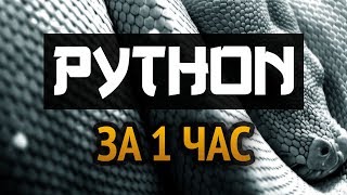 Превью: Учим Python за 1 час! #От Профессионала