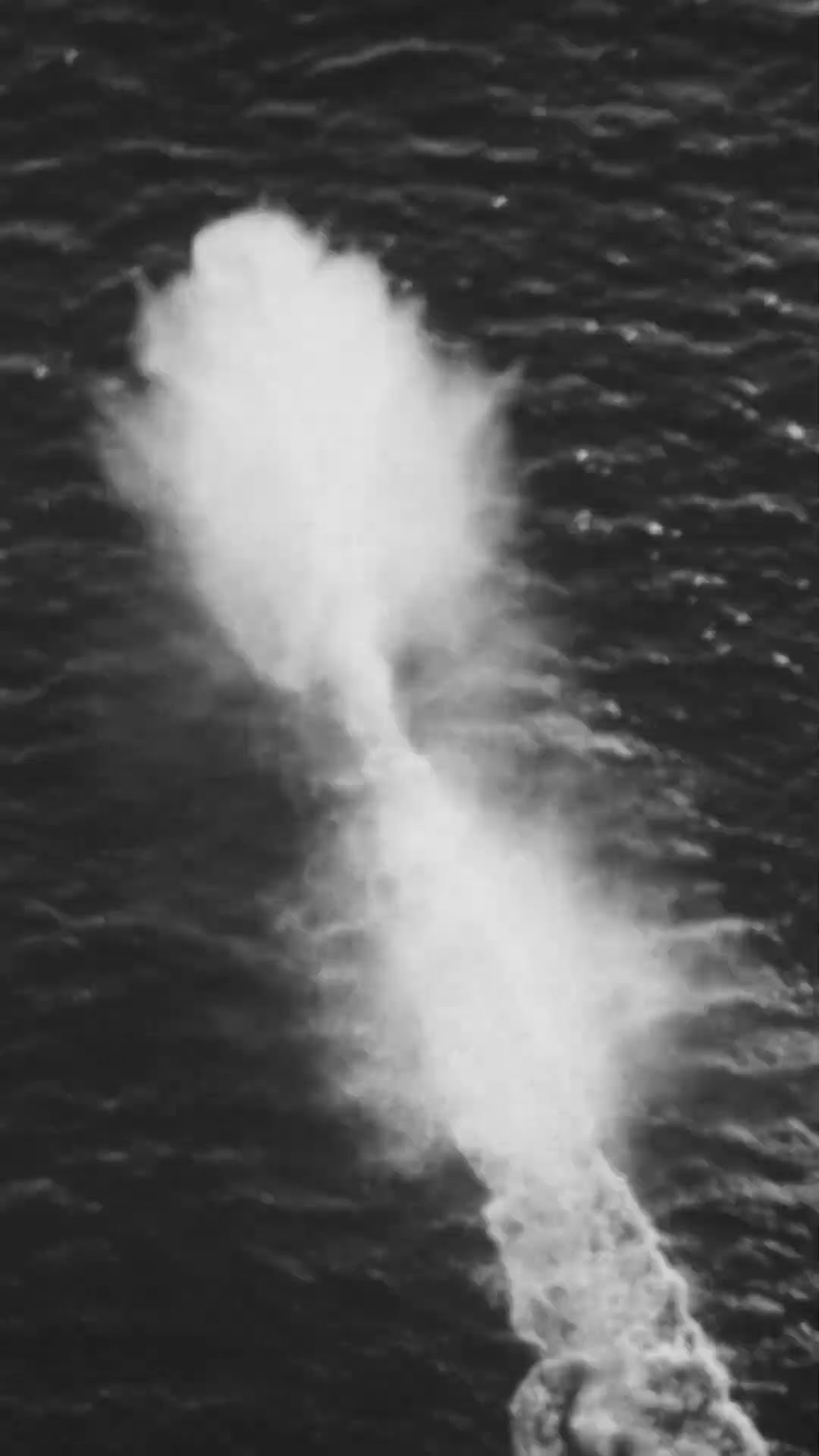 Превью: Ракетные катера проекта 183-Р