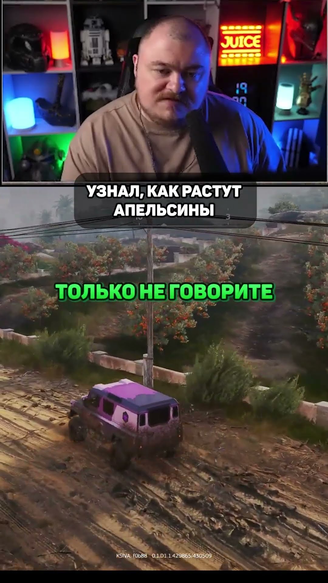 Превью: Вы знали как растут апельсины? Я нет.