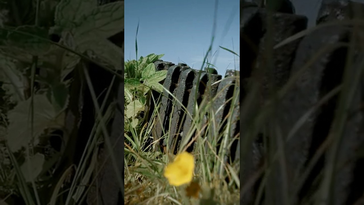 Приказ выполнить! Высотой овладеть! #ВзятиеШумшу #МирКораблей #ЛестаИгры