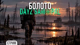 Превью: Болото. Квесты Чистого Неба | Dayz #5