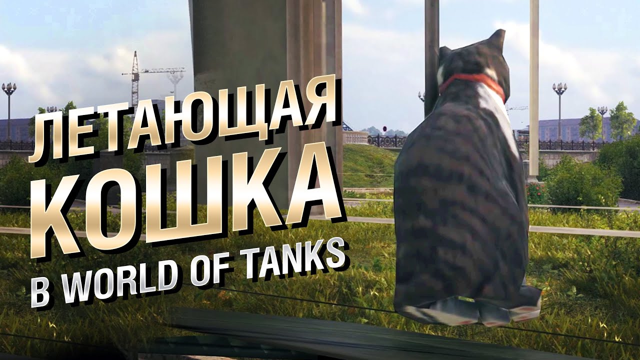 Летающая кошка в WOT - Интересные факты №79 [World of Tanks]