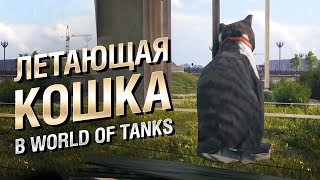 Превью: Летающая кошка в WOT - Интересные факты №79 [World of Tanks]