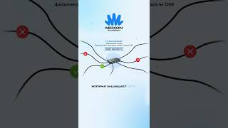 Превью: Что такое канальный уровень модели TCP/IP