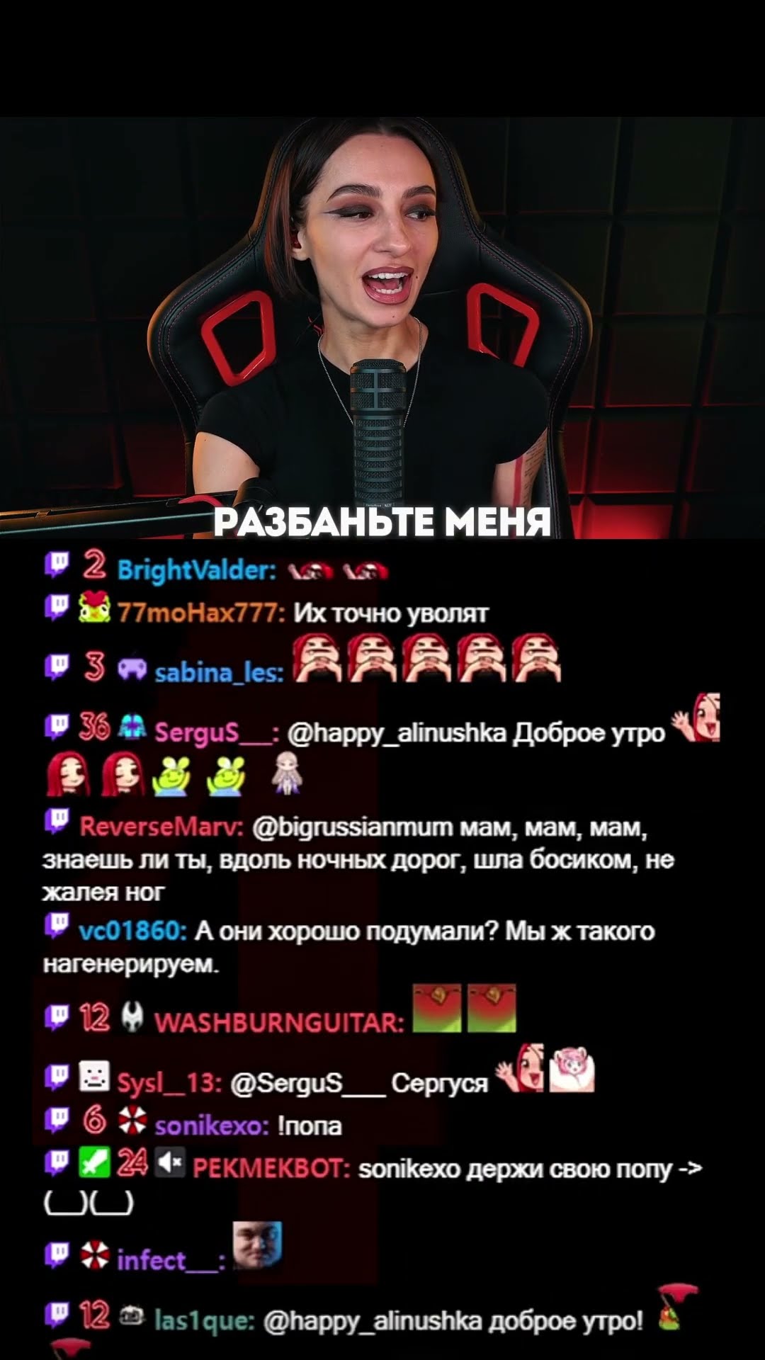 Превью: СТУК ИЗ ПОДВАЛА