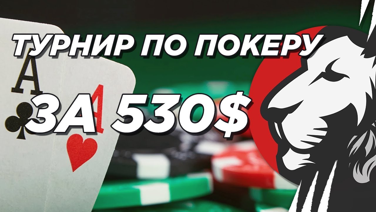 Cake играет в покер за 530$