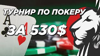 Превью: Cake играет в покер за 530$