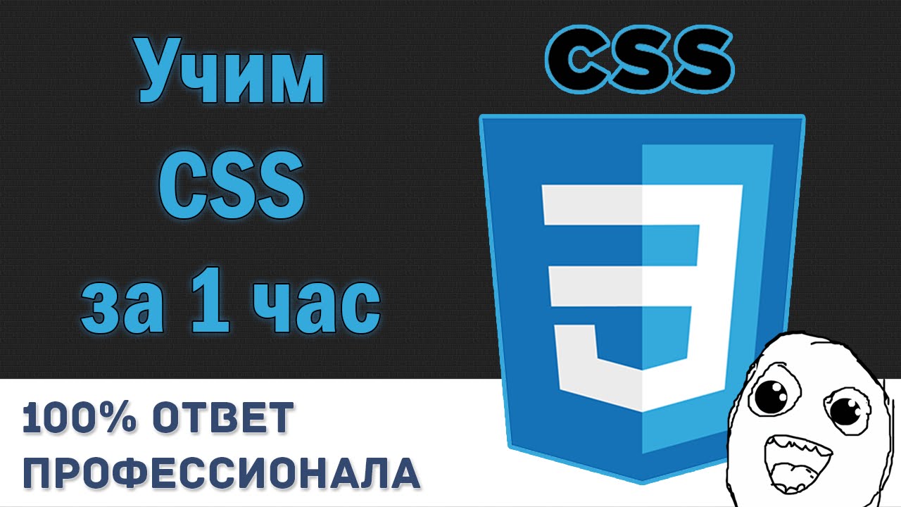 Учим CSS за 1 час! #От Профессионала