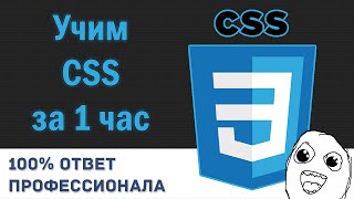 Превью: Учим CSS за 1 час! #От Профессионала