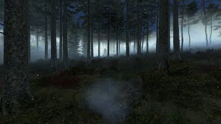 Превью: Dayz - ночной стрим