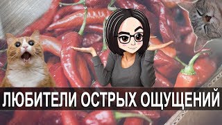 Превью: mozol6ka and Legendary | Любители острых ощущений!