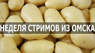 Превью: mozol6ka | Неделя стримов из Омска / День 4