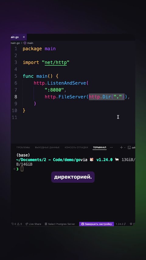 Превью: Самый короткий HTTP-сервер на Golang #go #golang #http #backend #livecode