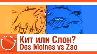 Превью: Des Monies vs Zao. Кит или Слон? Перезапуск.