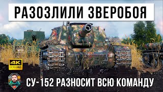 Превью: ЗВЕРОБОЙ разозлился! 250 мм пробитие на 7 уровне, самая разрушительная пушка в WOT!